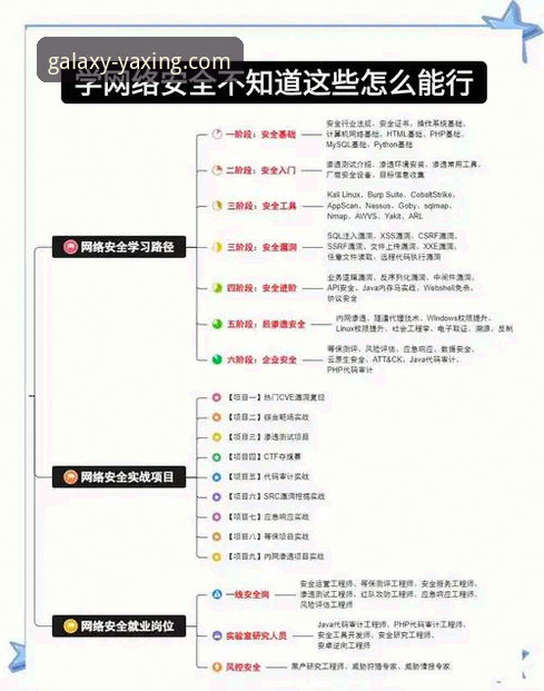 亚星体育平台安全使用教程：从官网网页版到APP下载的全面指南